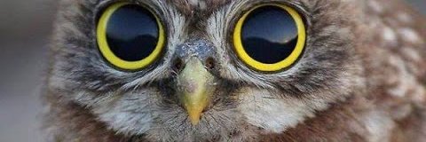 IMPACT_nizarman's profile banner image