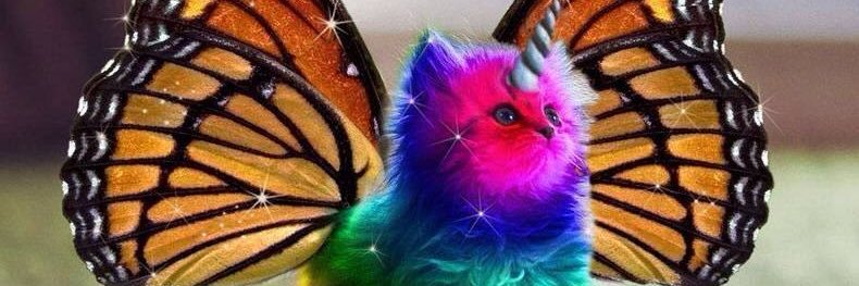 Kittehlicious's profile banner image