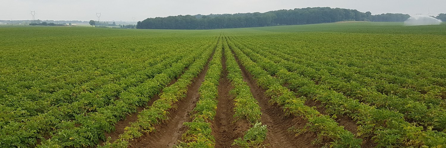 Geoffroy d'Evry banner
