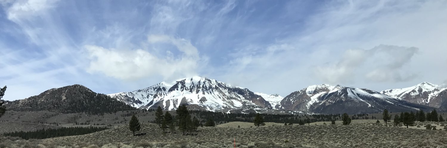 StCoppen's profile banner image