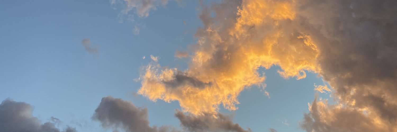 sapphyks's profile banner image