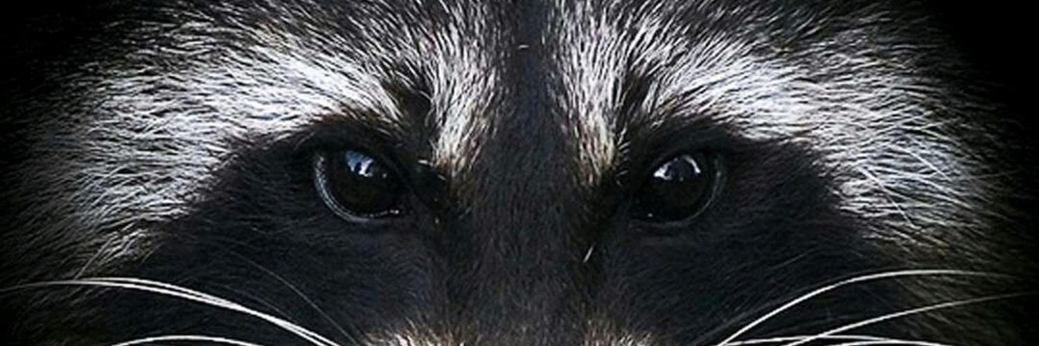 scottishkb's profile banner image