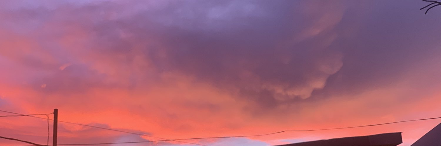 Bushtea Connoisseur banner