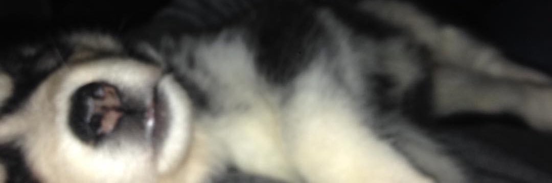 natalyrb's profile banner image