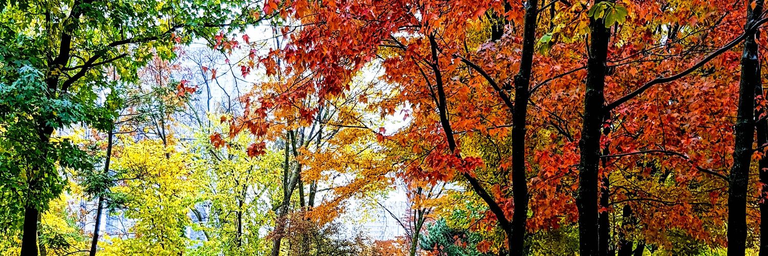 RazanObaid's profile banner image