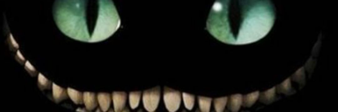 FelinFeli's profile banner image