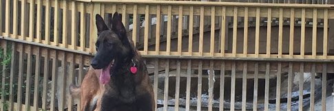 BjEllis_'s profile banner image