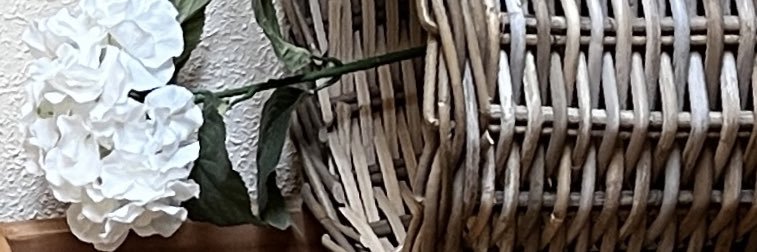 mdtobellae's profile banner image