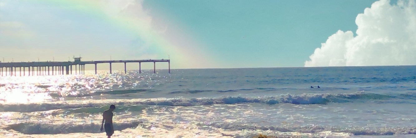 Tiff_Dahlin's profile banner image