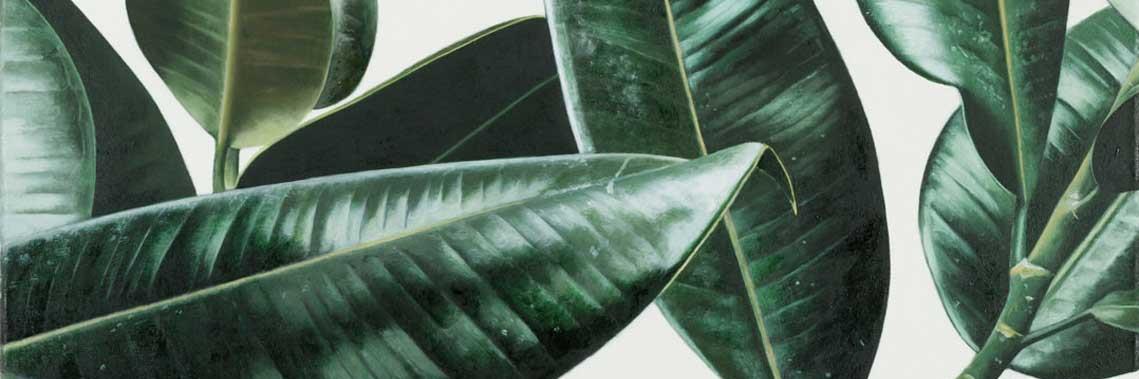 Whitney Radley banner