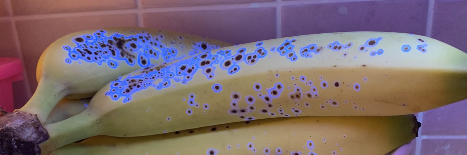 AliWalmsley's profile banner image