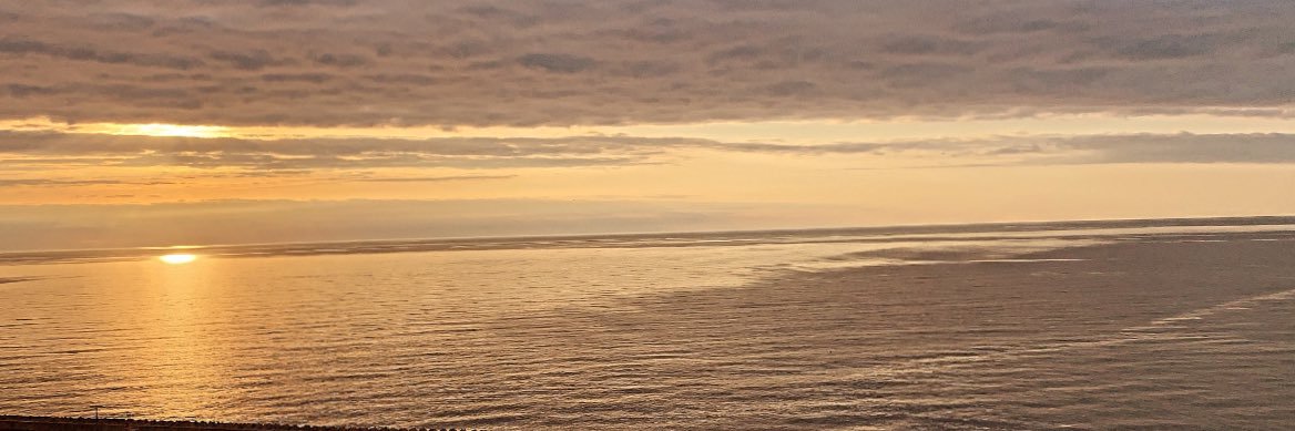 GzdSevi banner