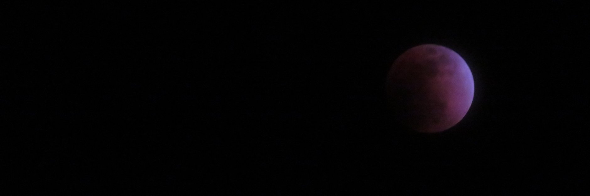 お酒＠のんだくれ banner