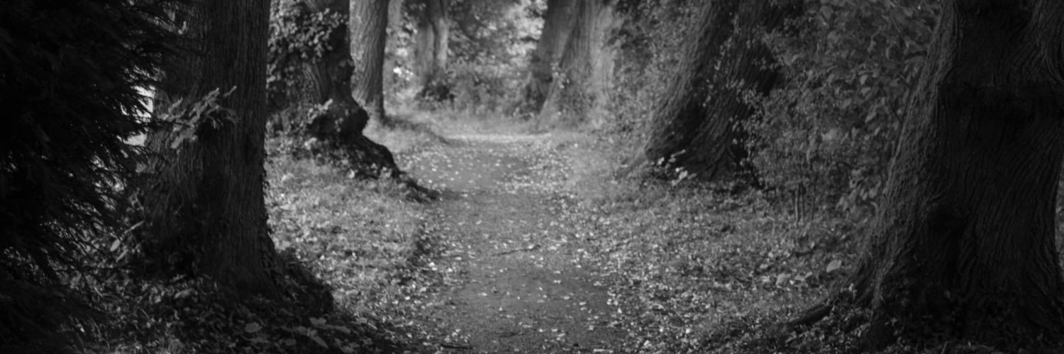 Michael Beck 📯 🐬 🐋🦤 💚🇪🇺 🏳️‍🌈🚲 *322ppm banner