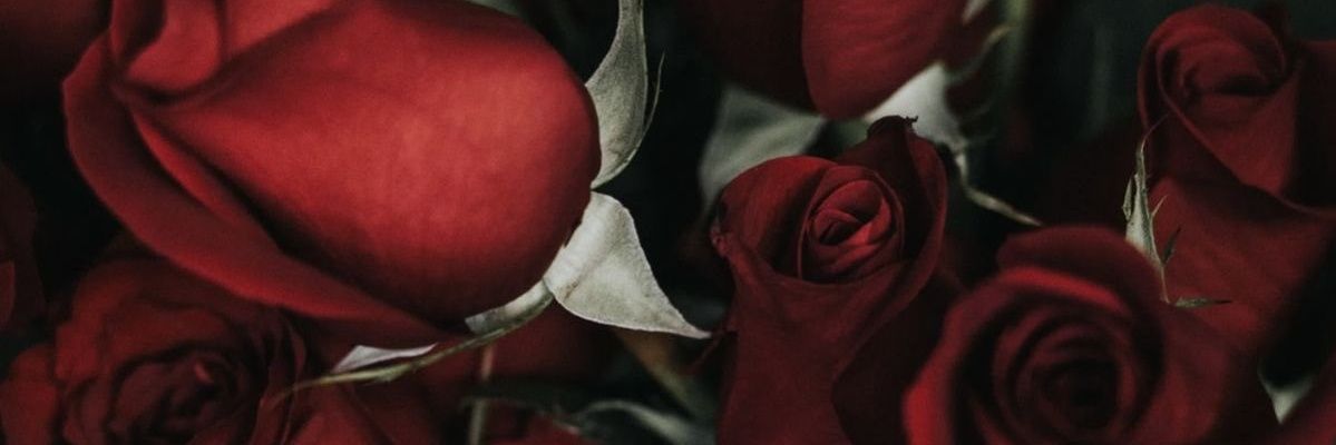 SRinimoon's profile banner image