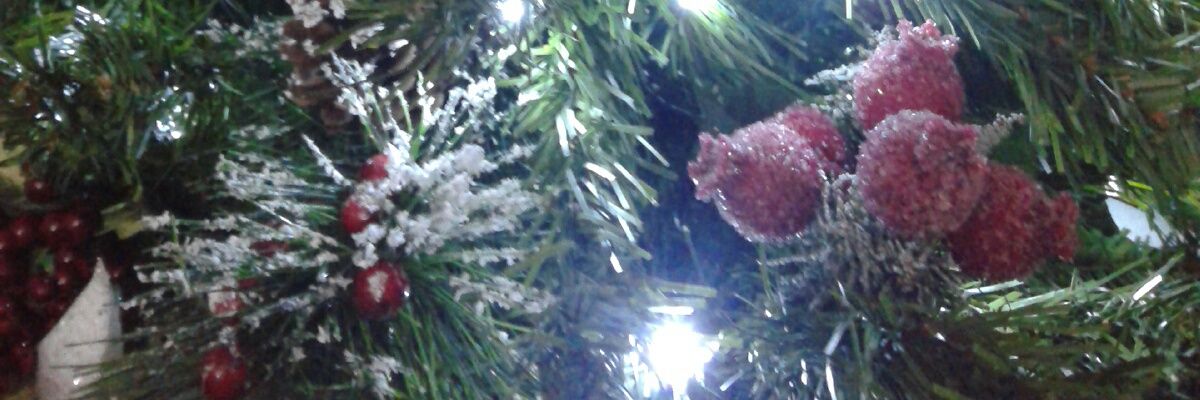 pflviola's profile banner image