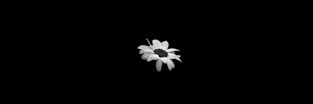 GLACEHYESEUL's profile banner image