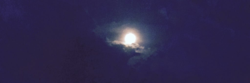 mareellyy's profile banner image