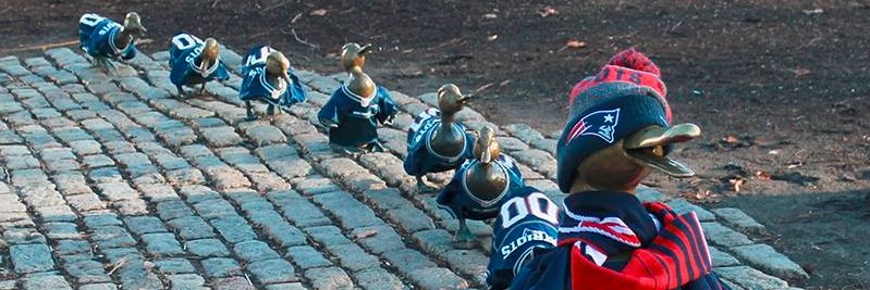 LizServo's profile banner image