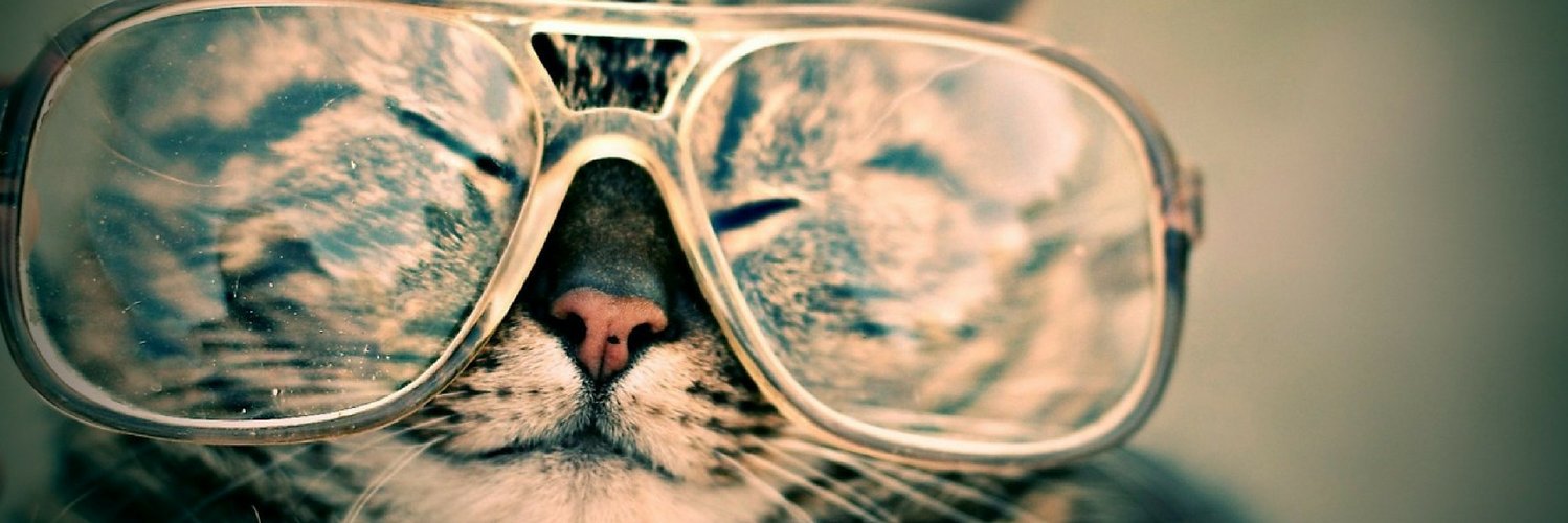 Agathe Dubuquoy banner