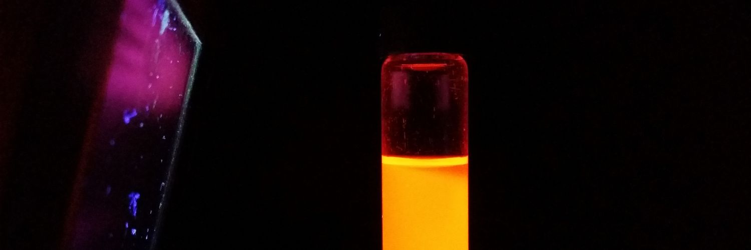 José L. Belmonte banner