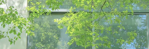EmilyChen369's profile banner image