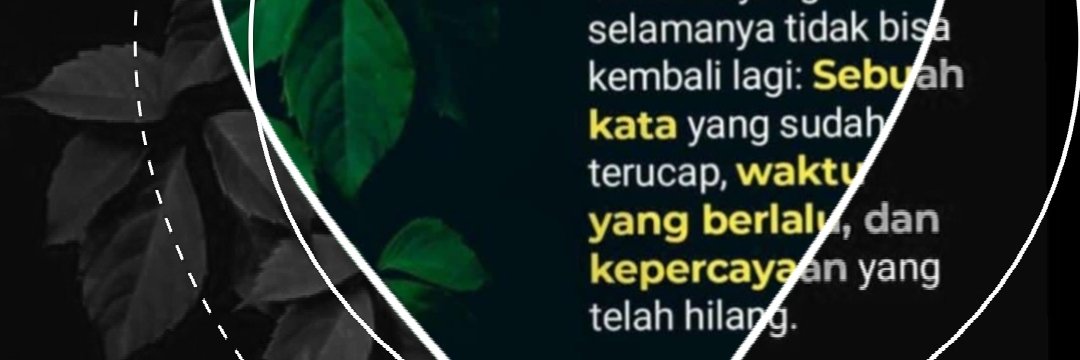 intangld's profile banner image
