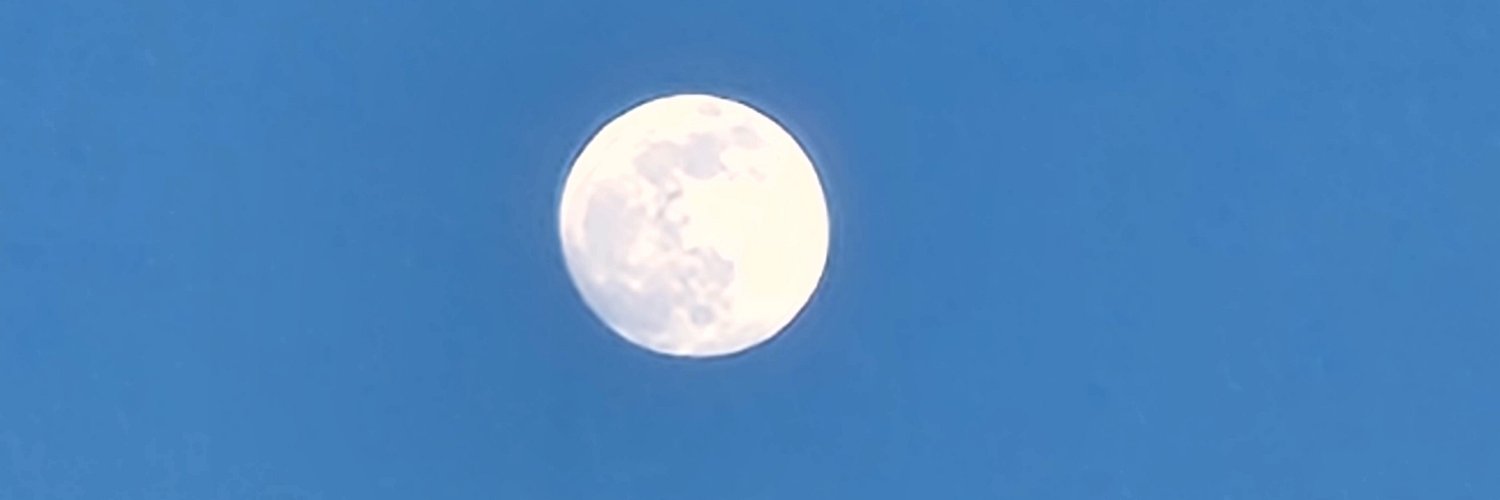 dainer31's profile banner image