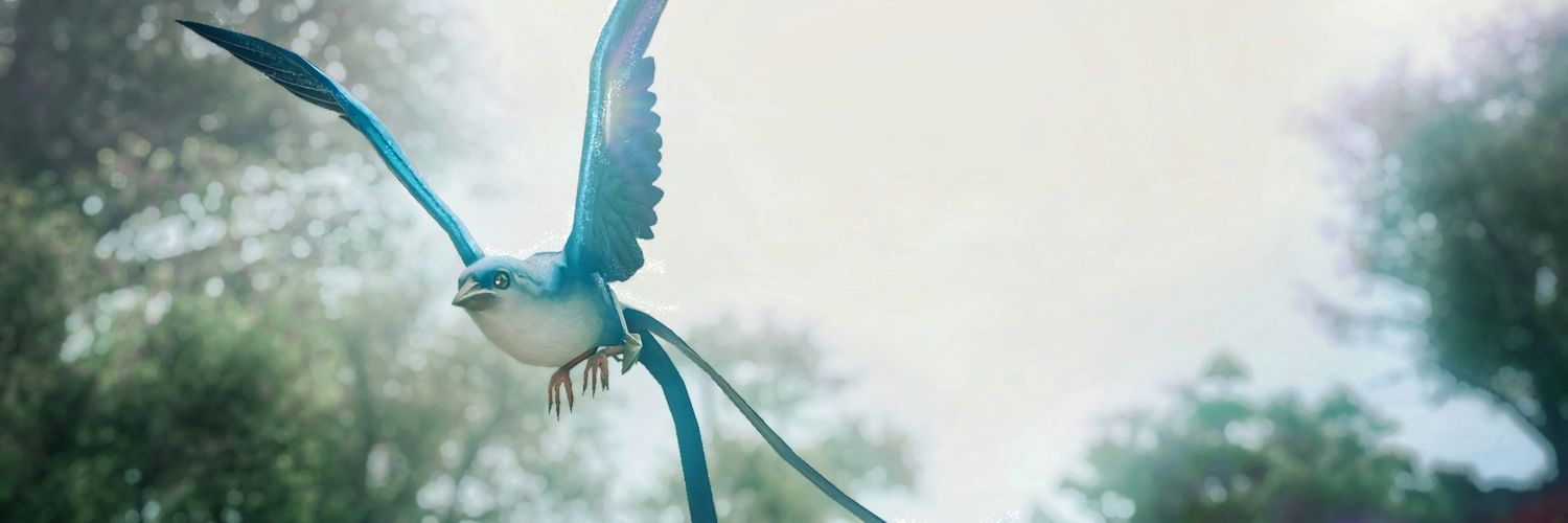 Sorel_ff14's profile banner image