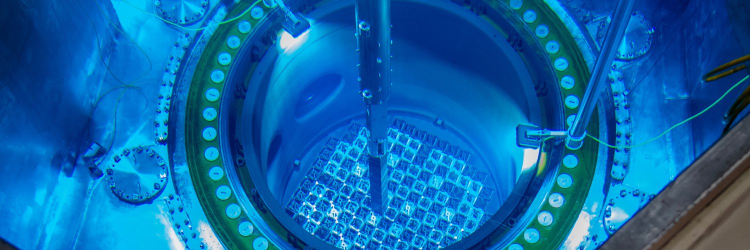 Southern Nuclear banner