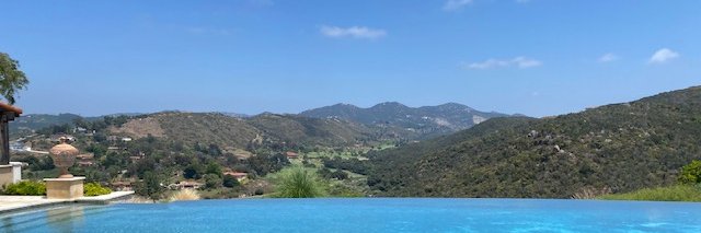 Michele Tobin banner