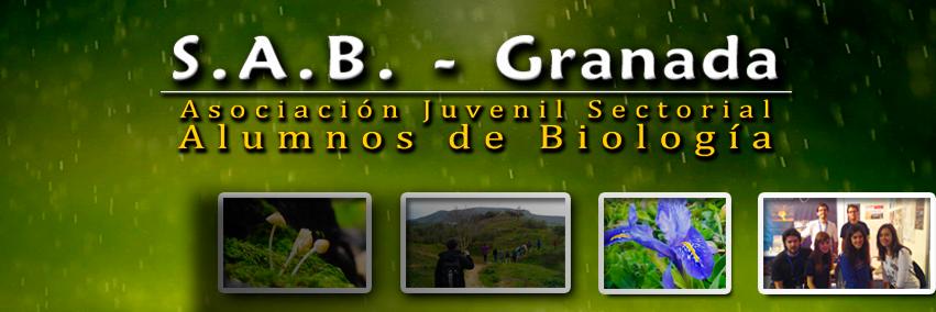 S.A.B. - Granada banner