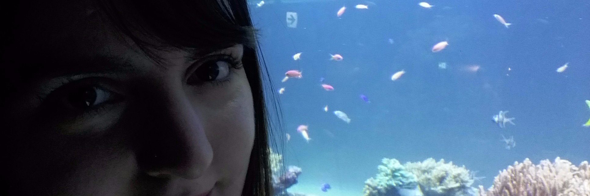 Sophie_LeFu's profile banner image