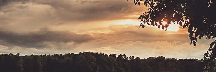 hhh67869's profile banner image