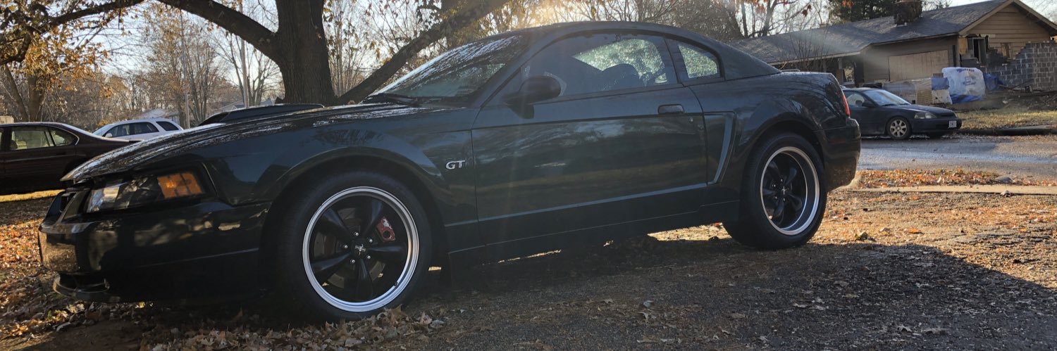 Jeremy D. Roy banner