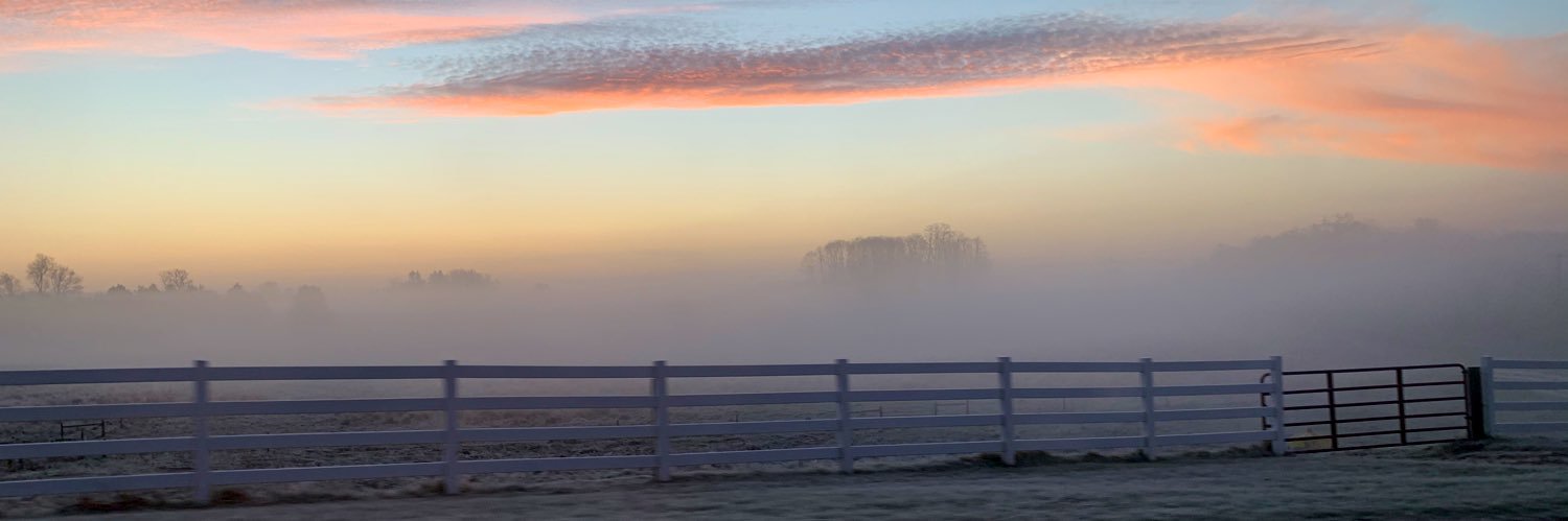 Gnarboots ☀️ banner