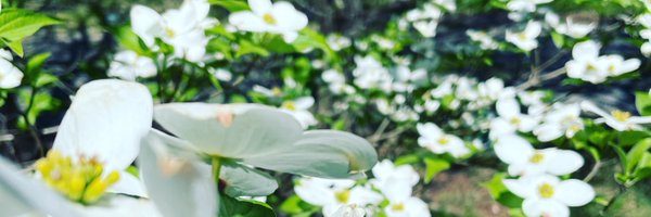 ETNHeather Profile Banner