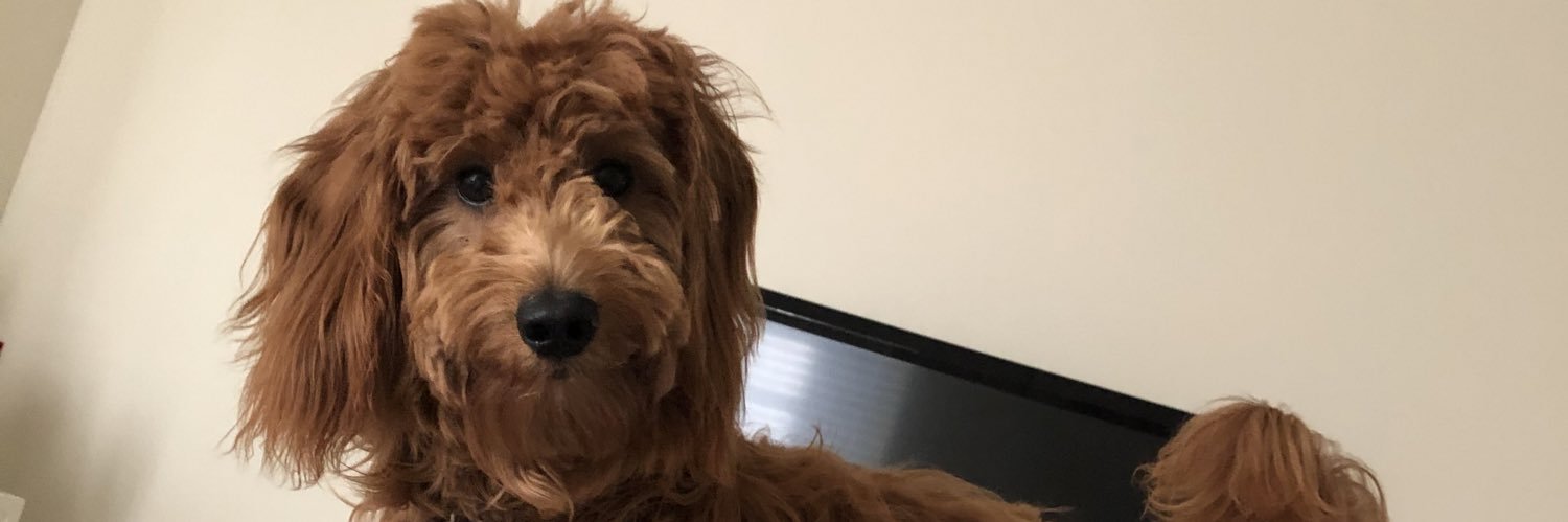 emilyamsden's profile banner image