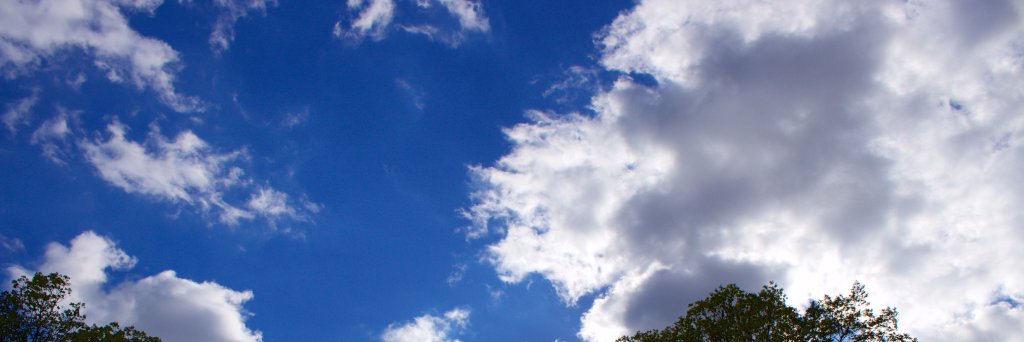 MPPSocialMedia's profile banner image