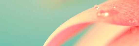 NicoleHaskell19's profile banner image