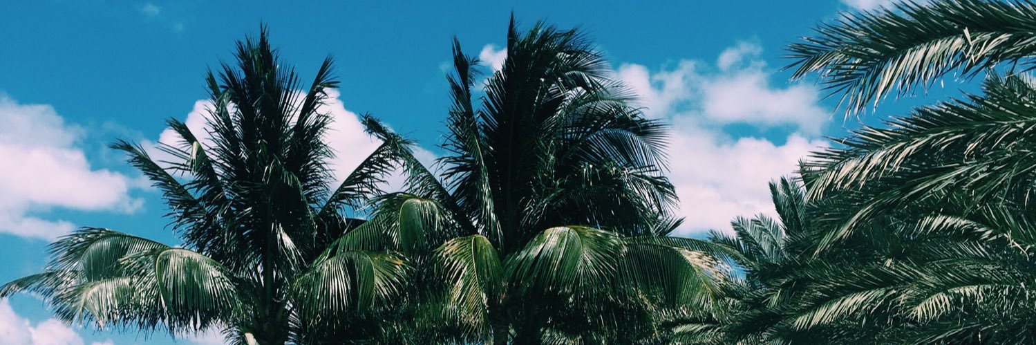 taylordingler's profile banner image