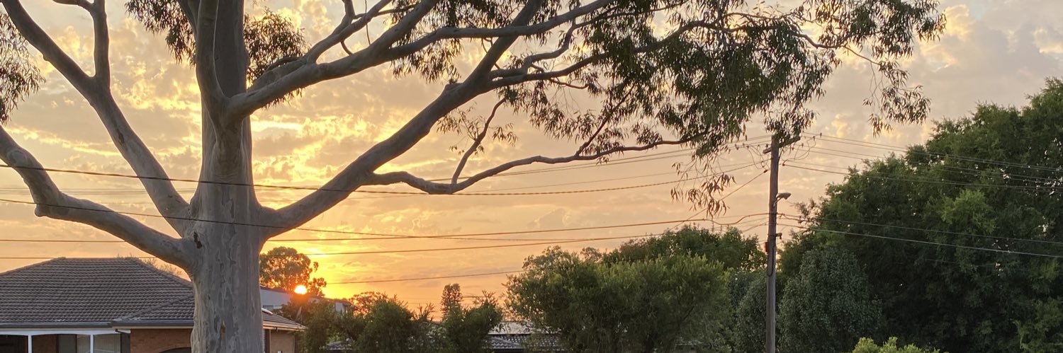 Terry_DownUnder's profile banner image