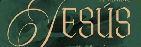 palminiov's profile banner image