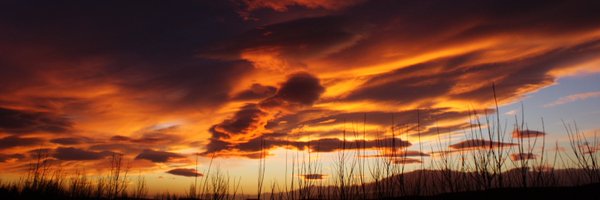 DrMichaelWXY Profile Banner