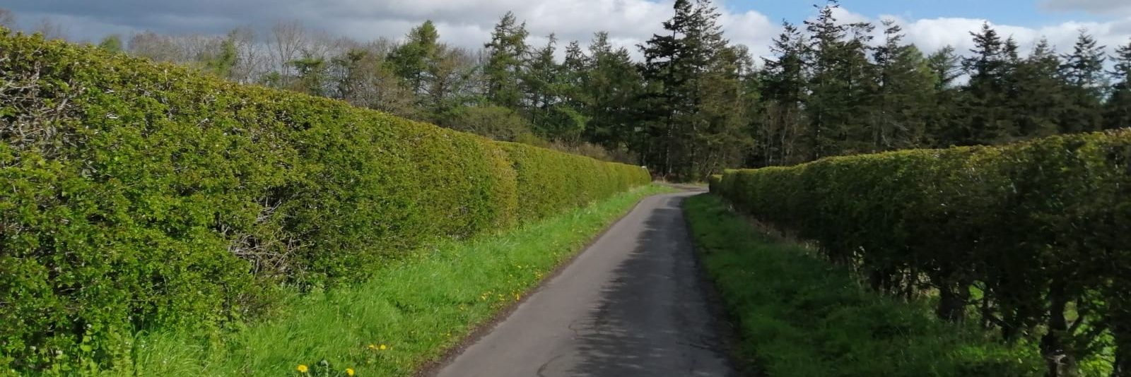 conmaur banner