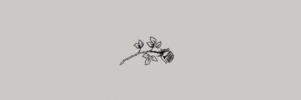 tarasolberg's profile banner image