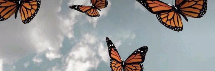 chelsieefaith's profile banner image