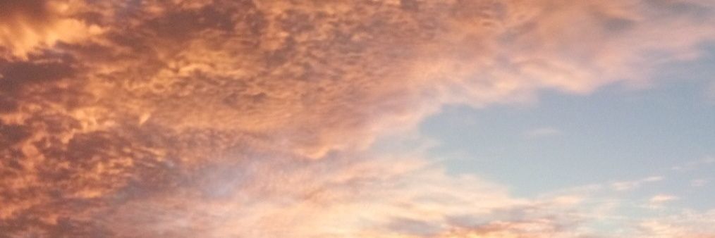 monicca_rm's profile banner image