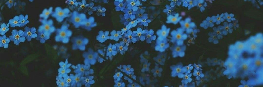 iam_bluefire's profile banner image