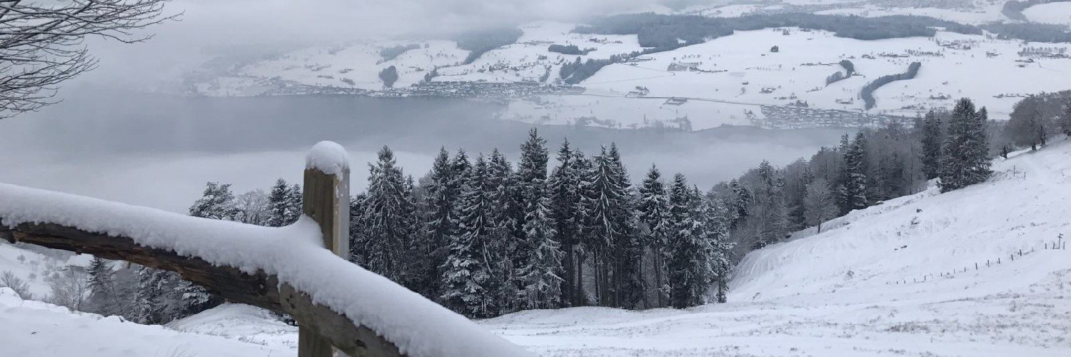 TomasJoseGH's profile banner image
